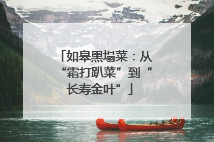 如皋黑塌菜：从“霜打趴菜”到“长寿金叶”