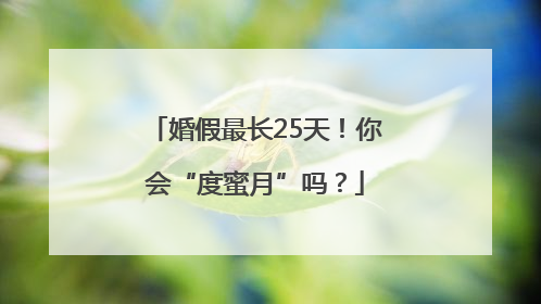 婚假最长25天！你会“度蜜月”吗？