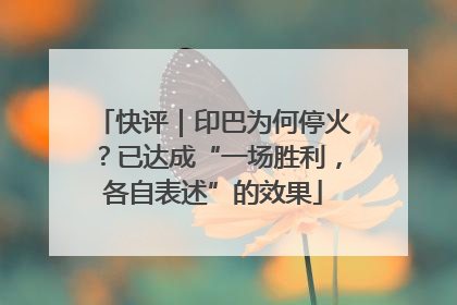 快评｜印巴为何停火？已达成“一场胜利，各自表述”的效果