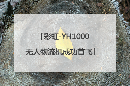 彩虹-YH1000无人物流机成功首飞