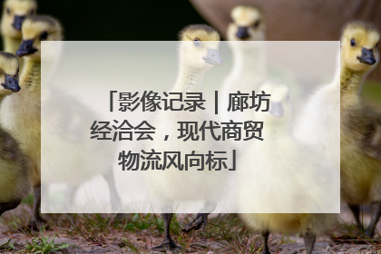 影像记录｜廊坊经洽会，现代商贸物流风向标