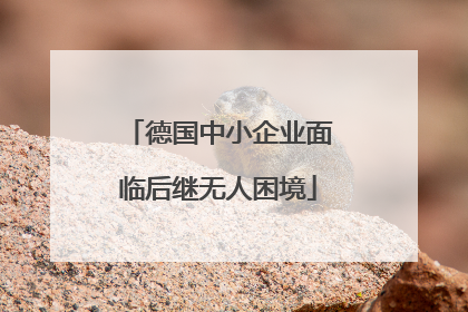 德国中小企业面临后继无人困境