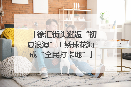 徐汇街头邂逅“初夏浪漫”！绣球花海成“全民打卡地”