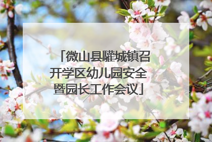 微山县驩城镇召开学区幼儿园安全暨园长工作会议