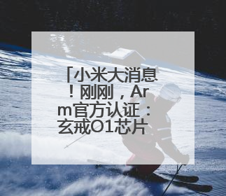 小米大消息！刚刚，Arm官方认证：玄戒O1芯片由小米自主研发！雷军此前称已开始大规模量产