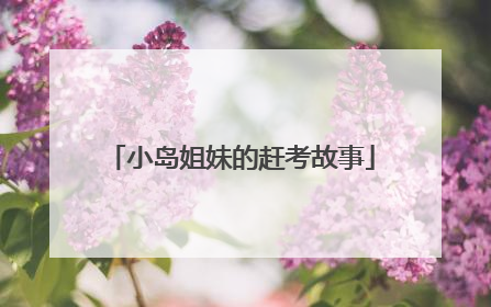 小岛姐妹的赶考故事
