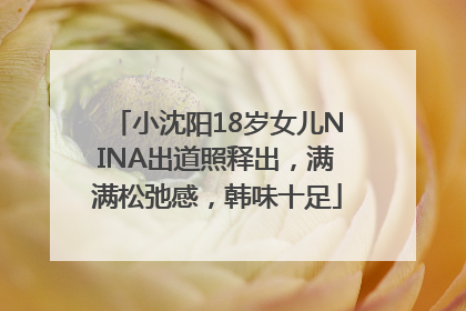 小沈阳18岁女儿NINA出道照释出，满满松弛感，韩味十足