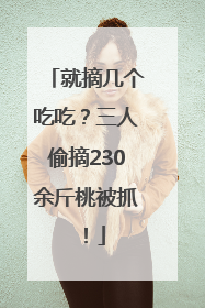 就摘几个吃吃？三人偷摘230余斤桃被抓！