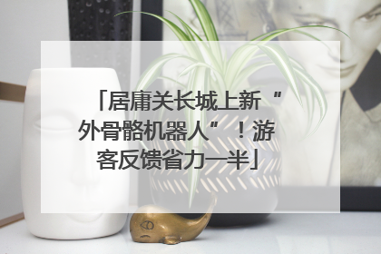 居庸关长城上新“外骨骼机器人”！游客反馈省力一半