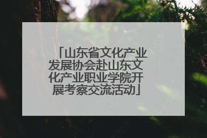 山东省文化产业发展协会赴山东文化产业职业学院开展考察交流活动