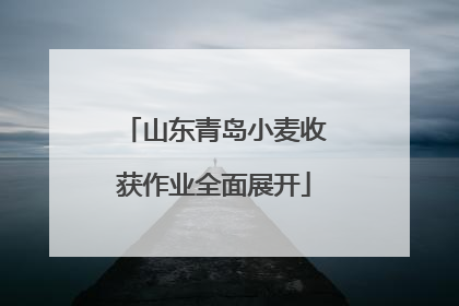 山东青岛小麦收获作业全面展开