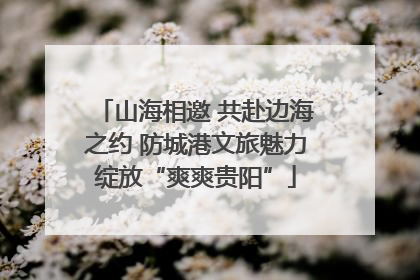 山海相邀 共赴边海之约 防城港文旅魅力绽放“爽爽贵阳”