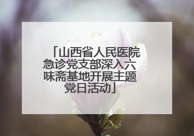 山西省人民医院急诊党支部深入六味斋基地开展主题党日活动