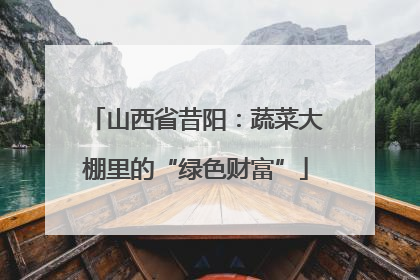 山西省昔阳：蔬菜大棚里的“绿色财富”