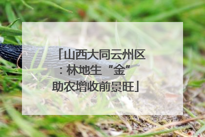 山西大同云州区：林地生“金” 助农增收前景旺