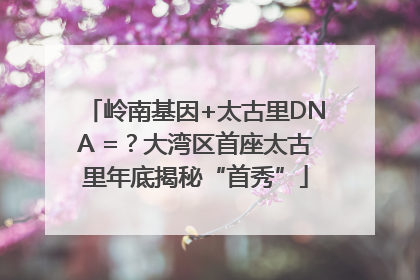 岭南基因+太古里DNA =？大湾区首座太古里年底揭秘“首秀”