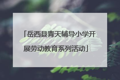 岳西县青天辅导小学开展劳动教育系列活动