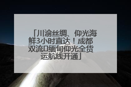川渝丝绸、仰光海鲜3小时直达！成都双流⇌缅甸仰光全货运航线开通
