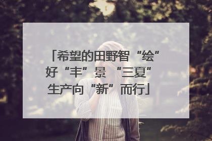 希望的田野智“绘”好“丰”景 “三夏”生产向“新”而行