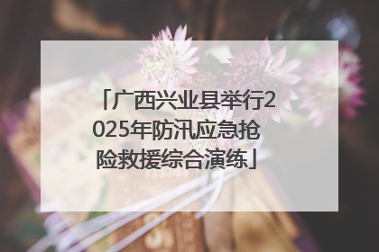 广西兴业县举行2025年防汛应急抢险救援综合演练