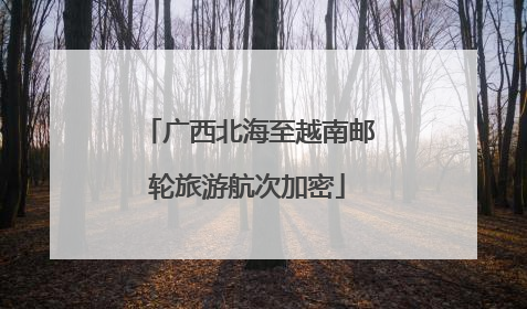 广西北海至越南邮轮旅游航次加密