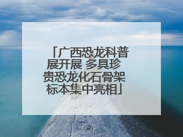 广西恐龙科普展开展 多具珍贵恐龙化石骨架标本集中亮相