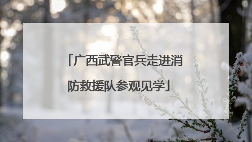 广西武警官兵走进消防救援队参观见学