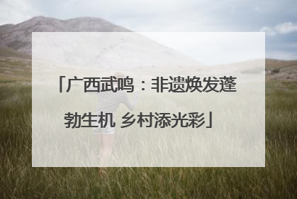 广西武鸣：非遗焕发蓬勃生机 乡村添光彩