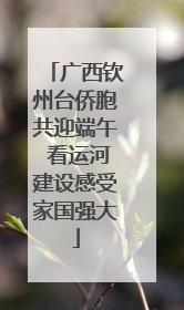 广西钦州台侨胞共迎端午 看运河建设感受家国强大