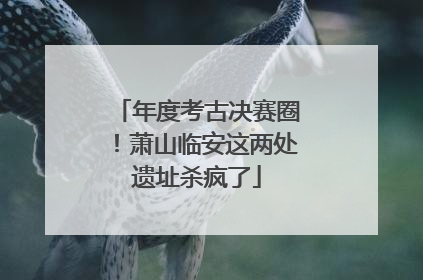 年度考古决赛圈！萧山临安这两处遗址杀疯了