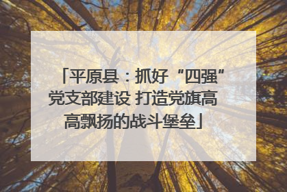 平原县：抓好“四强”党支部建设 打造党旗高高飘扬的战斗堡垒