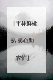 平林鲜桃熟 暖心助农忙