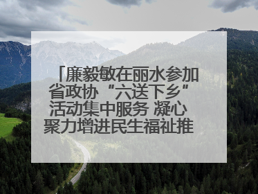 廉毅敏在丽水参加省政协“六送下乡”活动集中服务 凝心聚力增进民生福祉推进共同富裕