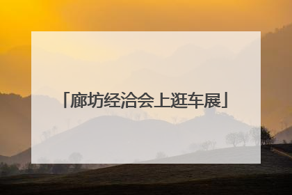 廊坊经洽会上逛车展