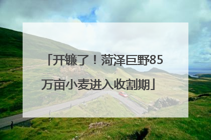 开镰了！菏泽巨野85万亩小麦进入收割期
