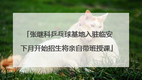 张继科乒乓球基地入驻临安 下月开始招生将亲自带班授课
