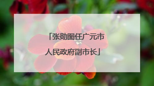 张勋图任广元市人民政府副市长