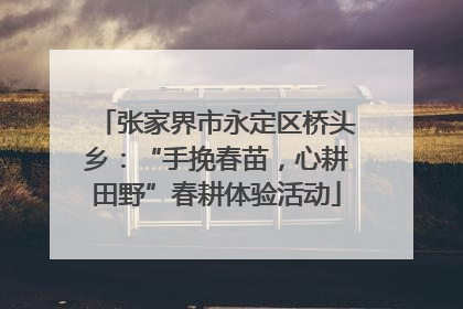 张家界市永定区桥头乡：“手挽春苗，心耕田野”春耕体验活动