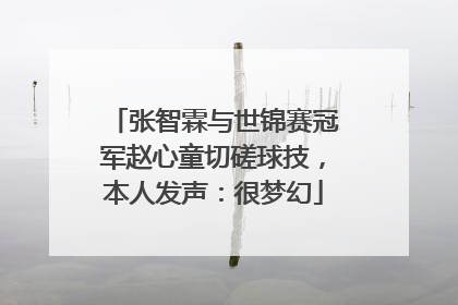 张智霖与世锦赛冠军赵心童切磋球技，本人发声：很梦幻