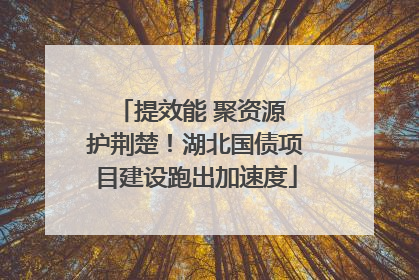 提效能 聚资源 护荆楚！湖北国债项目建设跑出加速度