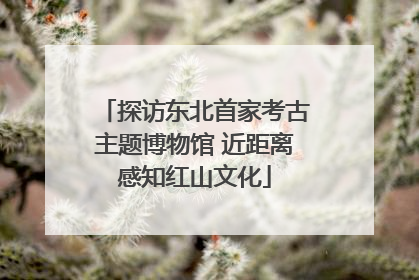 探访东北首家考古主题博物馆 近距离感知红山文化