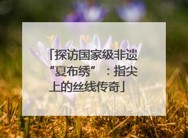 探访国家级非遗“夏布绣”：指尖上的丝线传奇