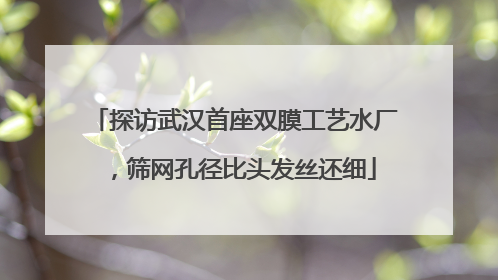 探访武汉首座双膜工艺水厂，筛网孔径比头发丝还细