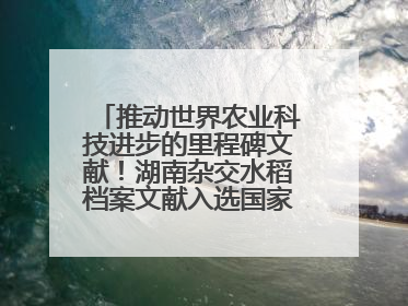 推动世界农业科技进步的里程碑文献！湖南杂交水稻档案文献入选国家级名录