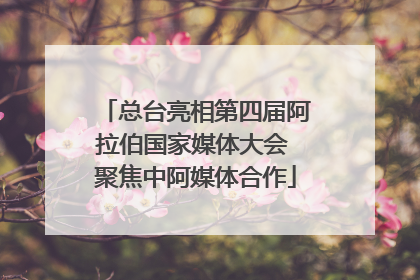 总台亮相第四届阿拉伯国家媒体大会 聚焦中阿媒体合作