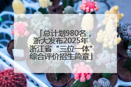 总计划980名，浙大发布2025年浙江省“三位一体”综合评价招生简章