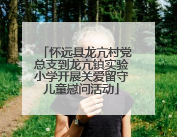 怀远县龙亢村党总支到龙亢镇实验小学开展关爱留守儿童慰问活动