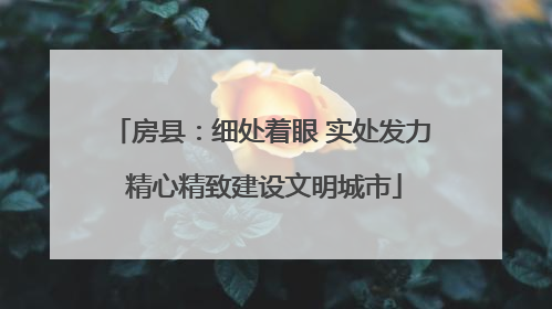 房县：细处着眼 实处发力 精心精致建设文明城市