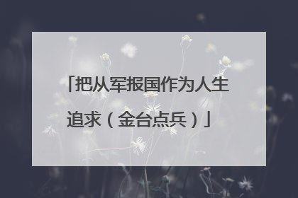 把从军报国作为人生追求（金台点兵）
