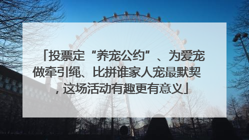 投票定“养宠公约”、为爱宠做牵引绳、比拼谁家人宠最默契，这场活动有趣更有意义